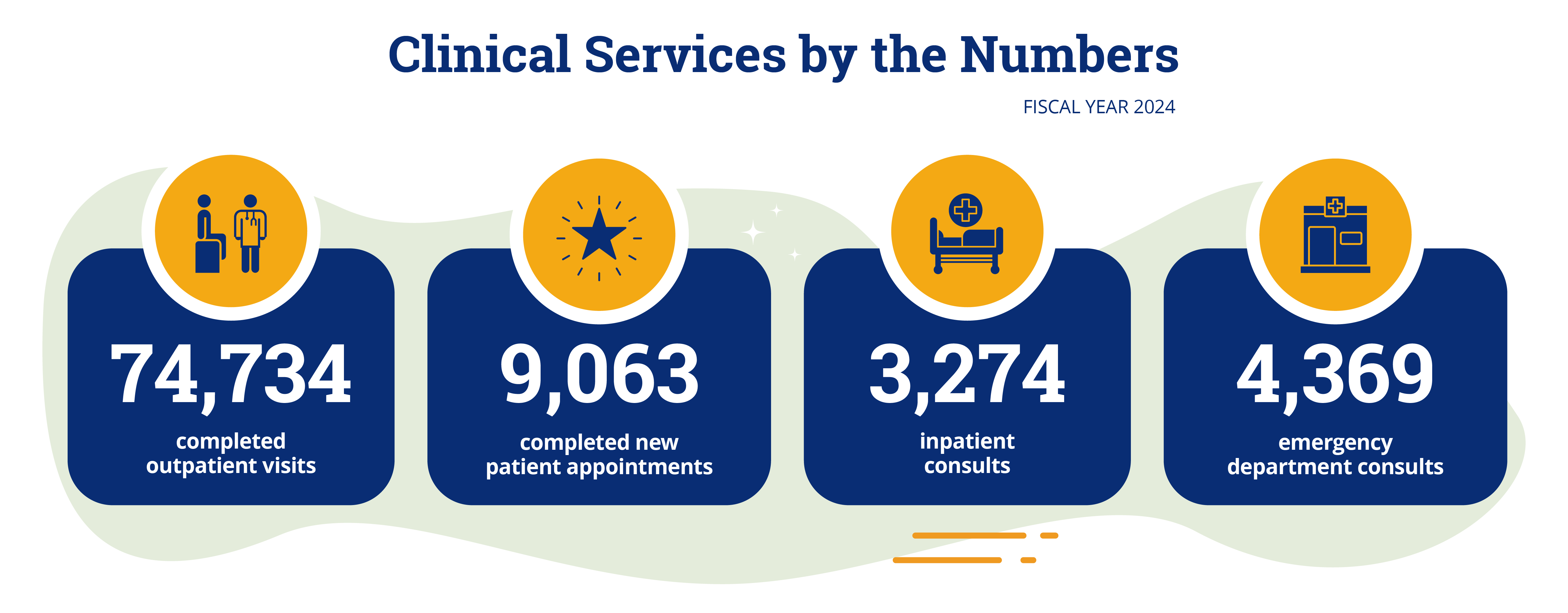 FY24 Completed outpatient visits: 74,734 Completed new patient appointments: 9,063 Inpatient consults: 3,274 Emergency Department consults: 4,369