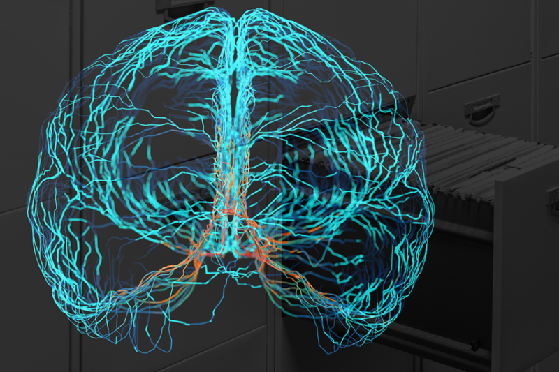 Illustration of brain overlaid on image of filing cabinet